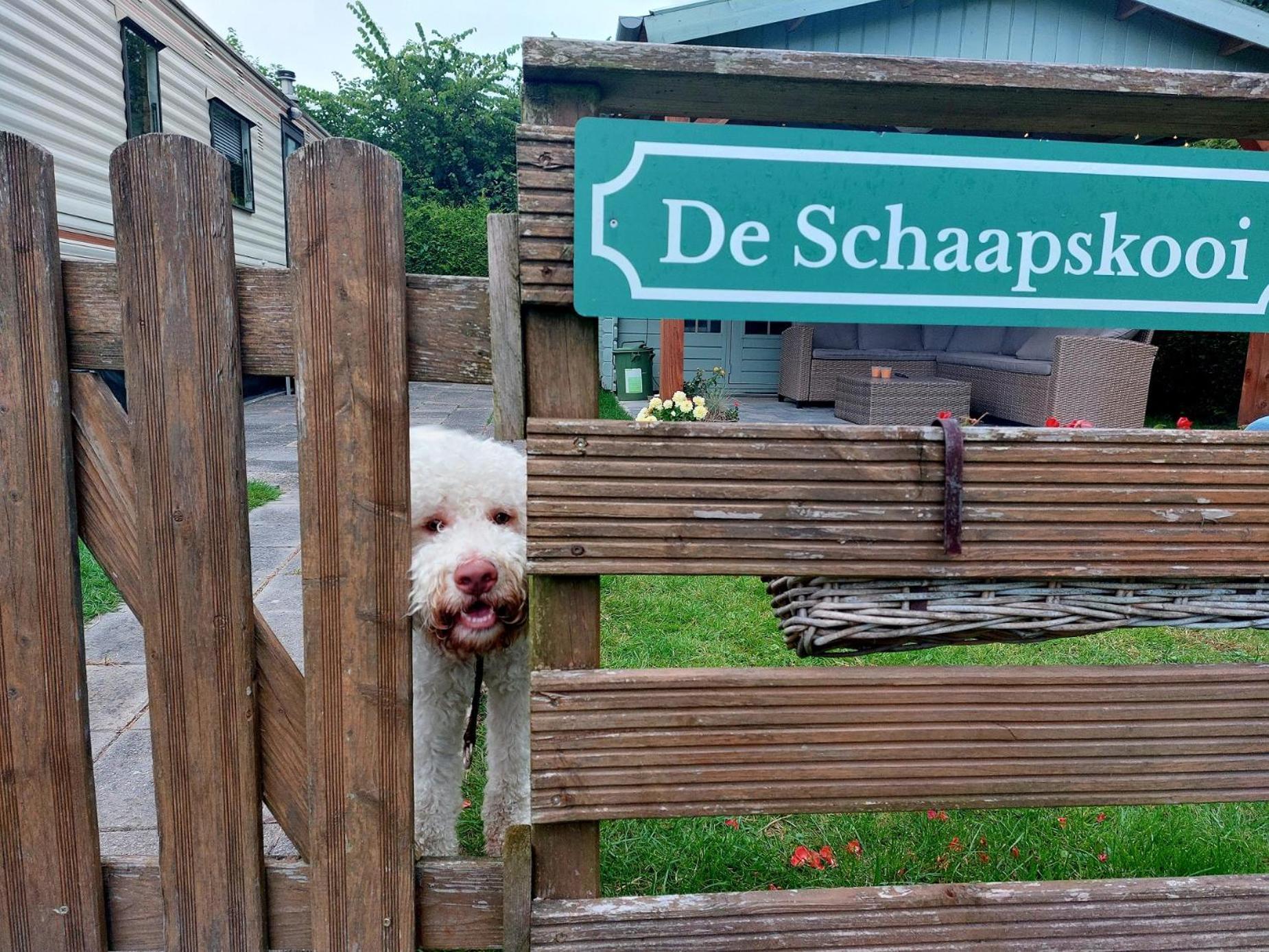 Familychalet De Schaapskooi, 6-Persons, Big Private Garden, Dogs Aloud Westergeest Екстериор снимка